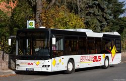 EIN-TG 500 Solling Bus