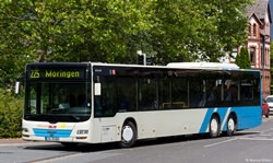 EIN-TG 800 Solling Bus